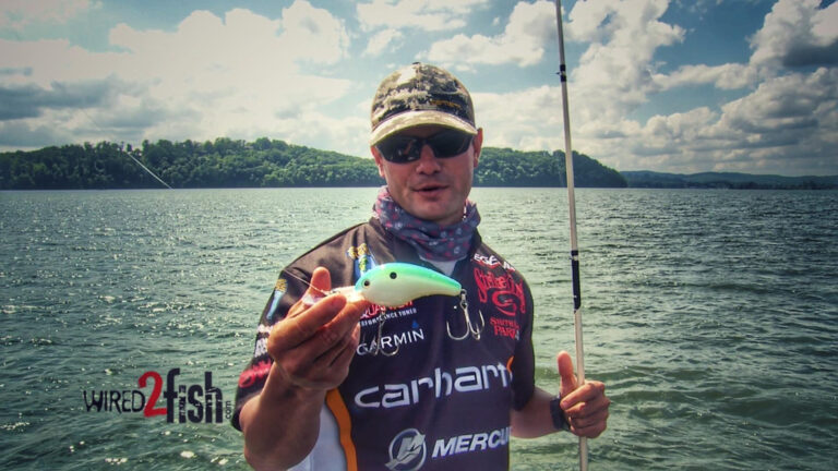 How to Catch Offshore Ledge Bass Using Big Crankbaits