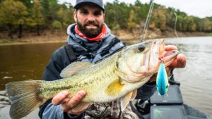 5 Crucial Tips for Fall Squarebill Crankbait Bass Fishing