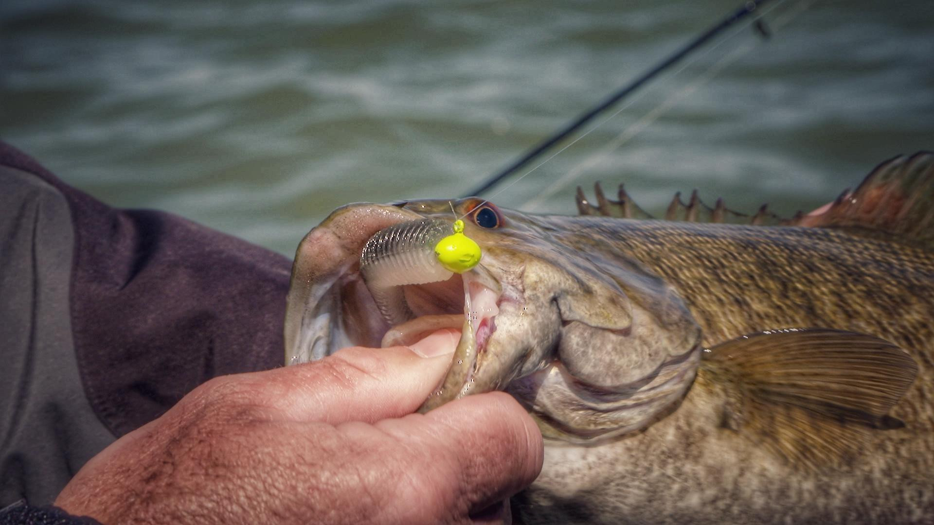 When to Use Football Head Jigs With Swimbaits - Wired2Fish
