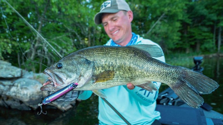 Bass Fishing New Lakes with Dual-Purpose Topwater Baits