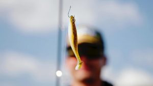 Drop Shotting Swimbaits for Bass | Zaldain’s How and When