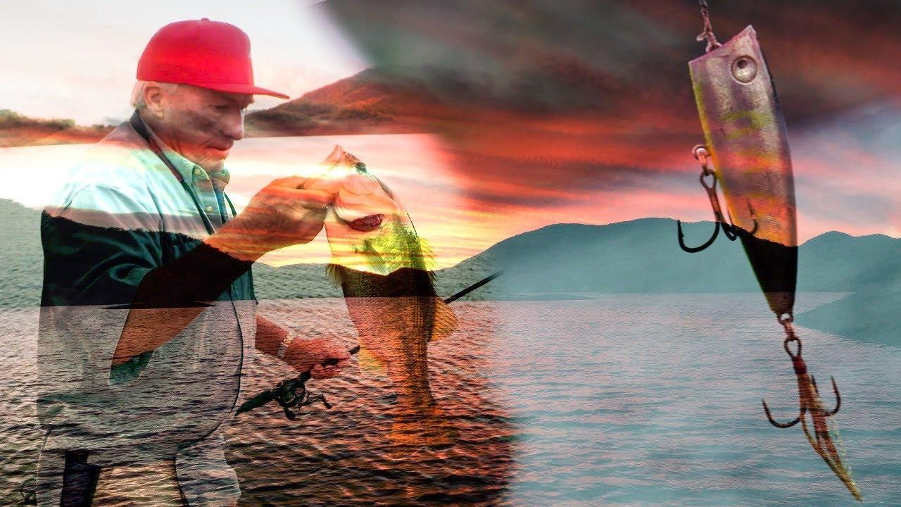 4 Factors for Topwater Bass Fishing Success