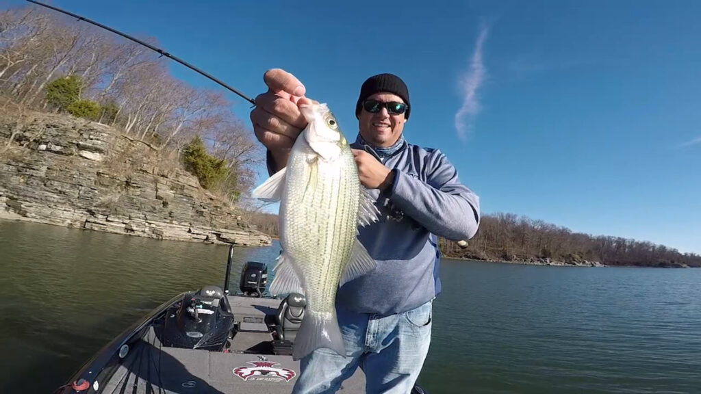 Vertical Jigging Tips for Winter White Bass Fishing - Wired2Fish