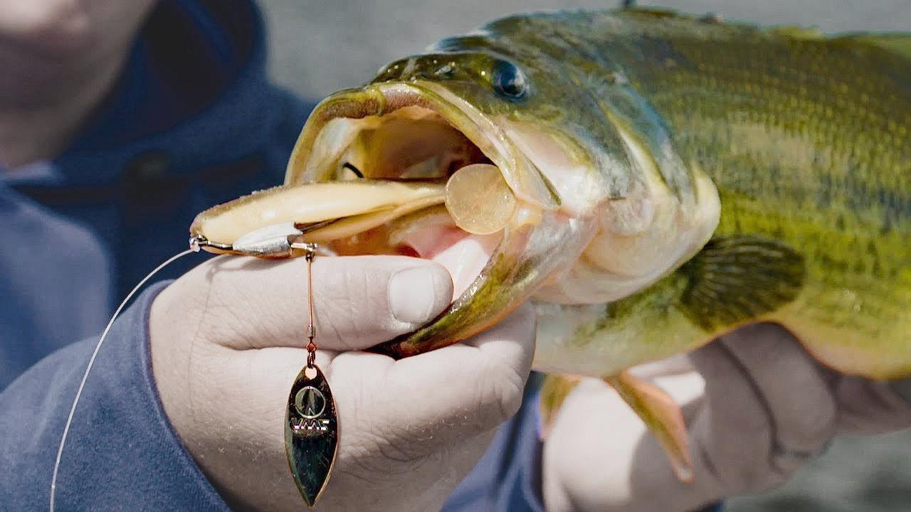 How to Fish Weedless Swimbaits for Summertime Bass - Wired2Fish
