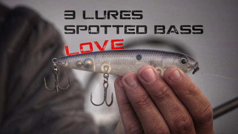 3 Top Lure Picks for Spotted Bass