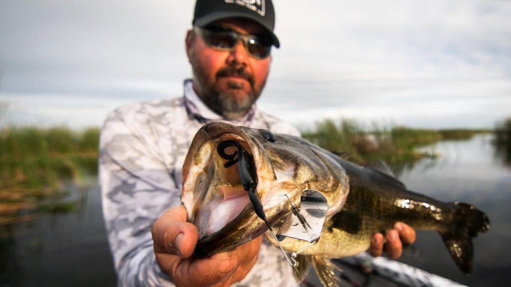4 Spring Buzzbait Fishing Tips for Bass - Wired2Fish