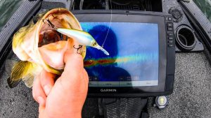 Fall and Winter Jerkbait Bass Fishing: Extreme Refinement Tips