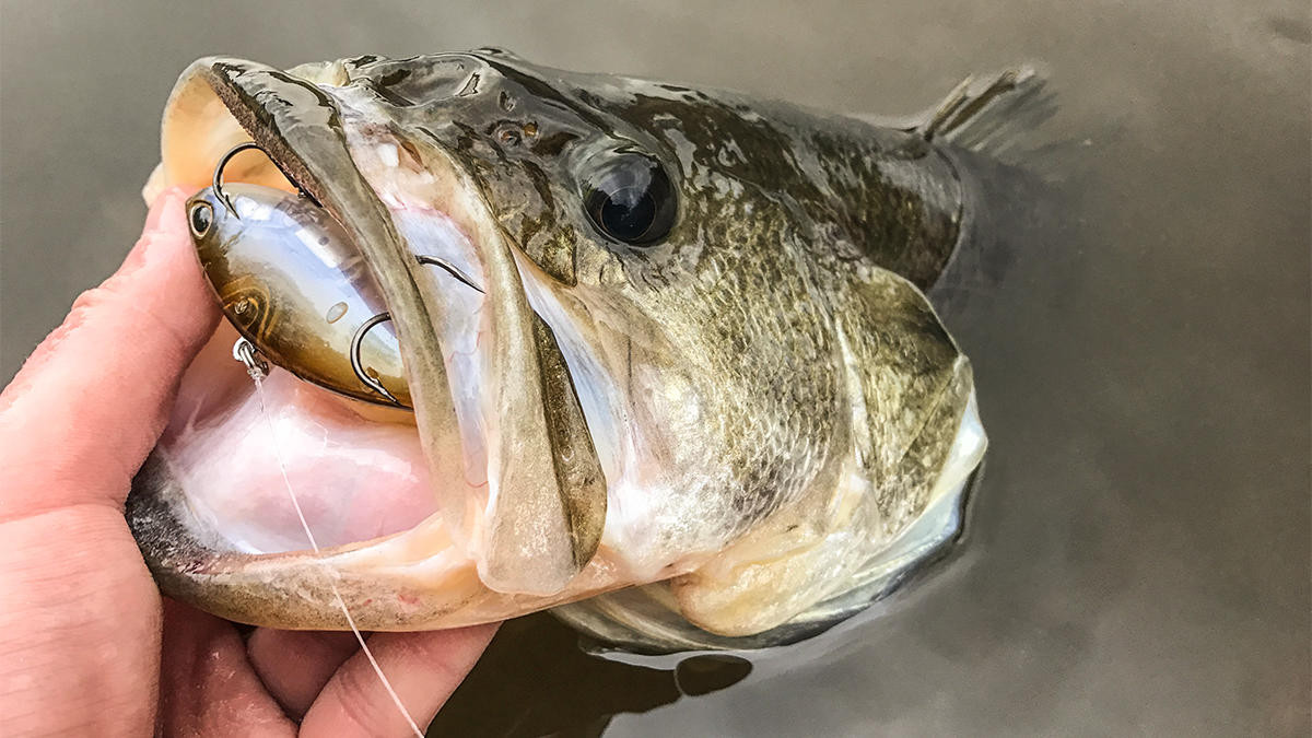 4 Bank Fishing Tactics for Cold Weather - Wired2Fish