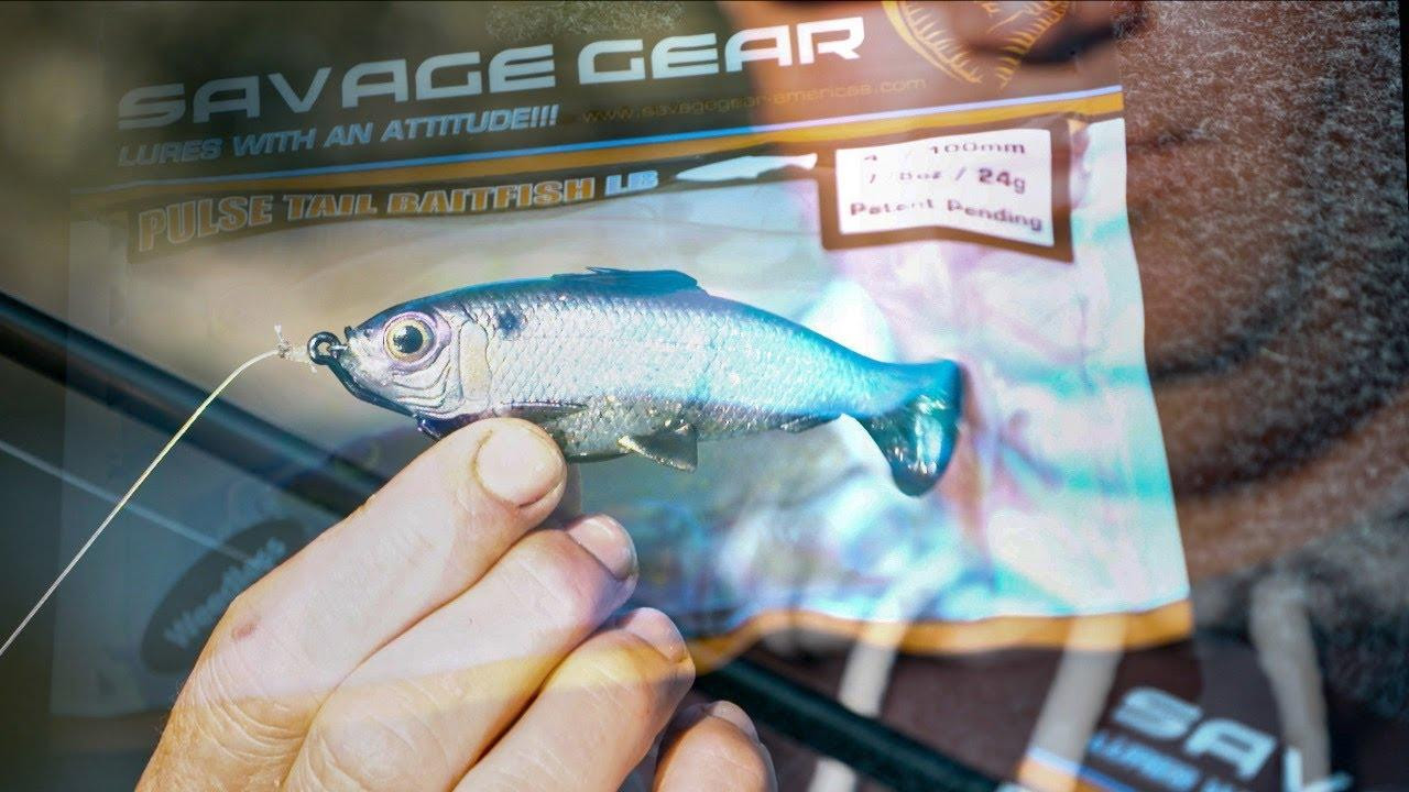 Savage Gear Pulse Tail LB Bluegill Swimbait Review - Wired2Fish