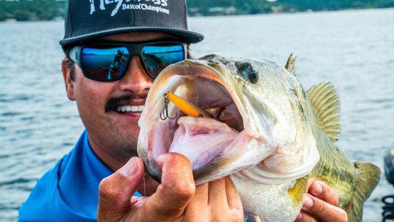 6 Tips to Catch More Bass on Finesse Jerkbaits