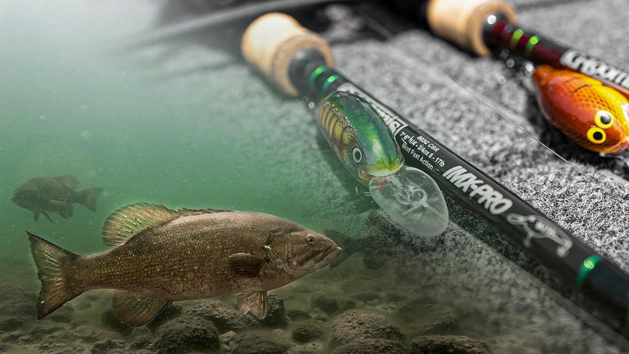 Rods and reels for smallmouth - Bassmaster