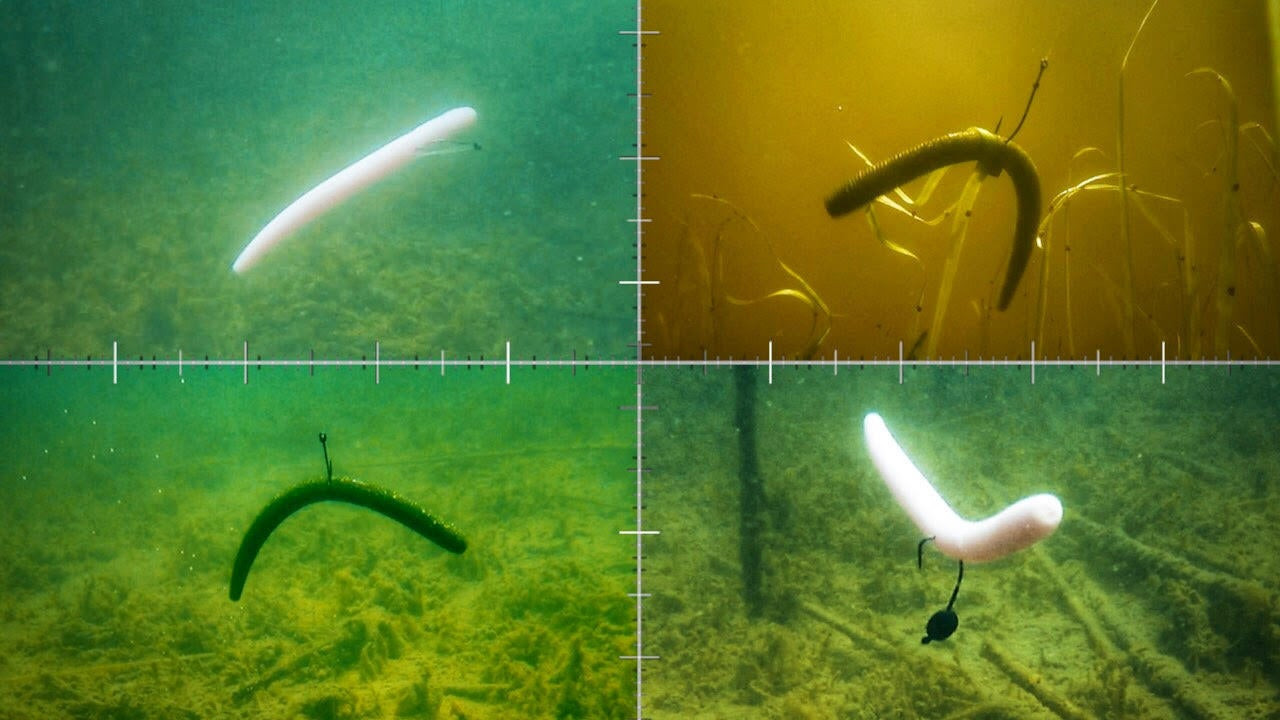 4 Wacky Rigging Methods  What it Looks Like Underwater - Wired2Fish