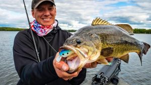 Squarebill Crankbait Basics for Bass Around Trees and Rock