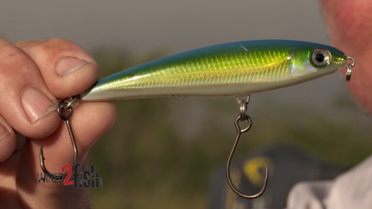 Saltwater Lures for Conditioned Bass