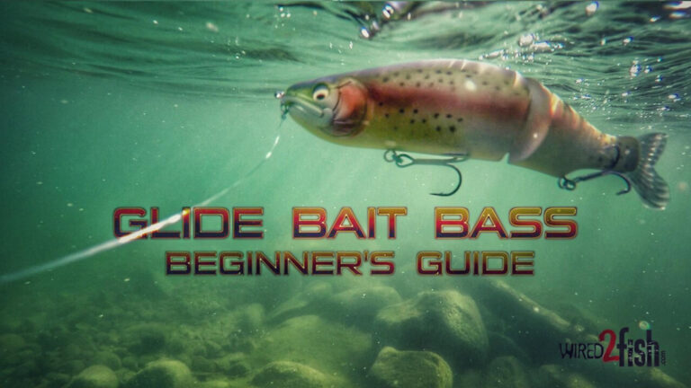 Glide Bait Fishing Bass: A Beginner’s Guide