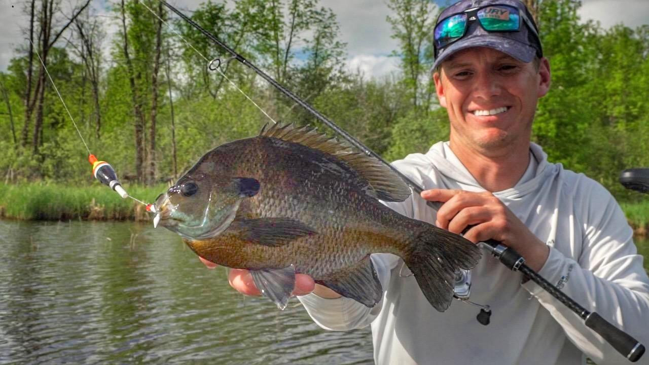 Bluegill Fishing Tips with Bobbers and Plastic Lures - Wired2Fish