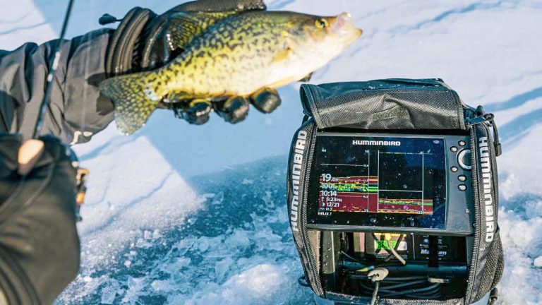 Why CHIRP is the Best 2D Sonar for Ice Fishing