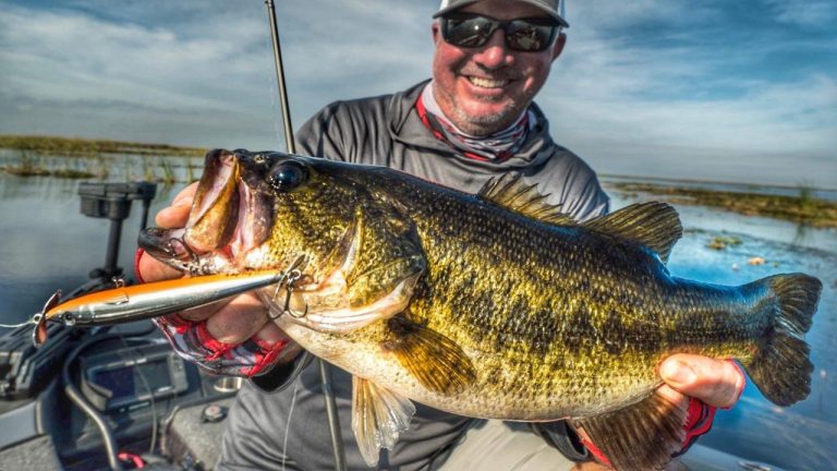 Spring Bass Fishing with Prop Baits | When, Where, and How