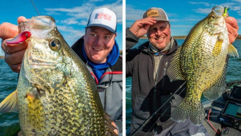 Find and Catch GIANT Crappies – Fall and Winter Tips