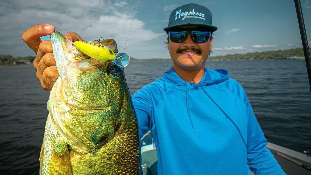 4 Tips to Catch More Bass with Small Crankbaits