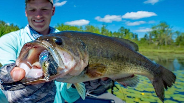 Tips for Milking Prime Bass Fishing Spots with Frogs