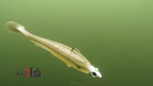 How to Choose the Right Soft Swimbait Head