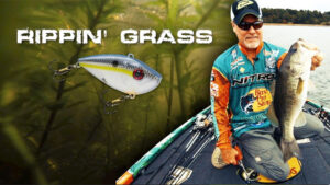 Trigger Grass Bass With Lipless Crankbaits