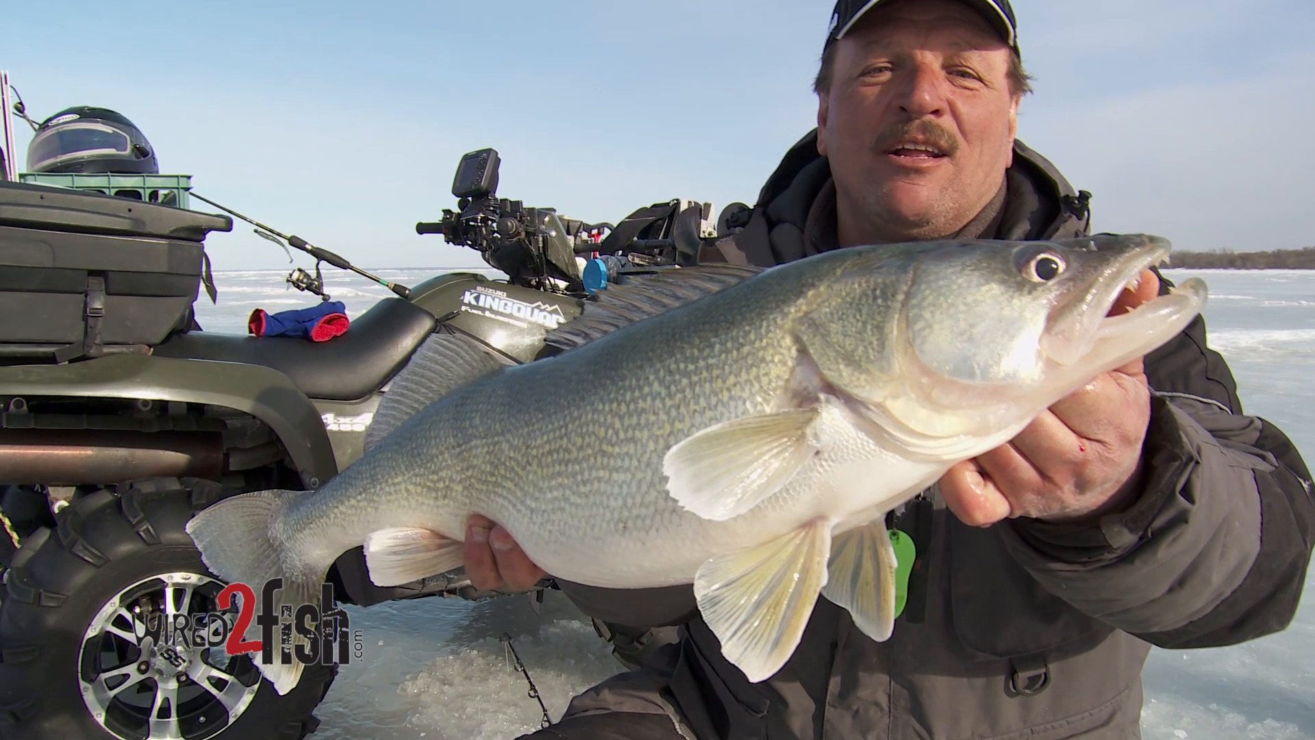 Catch Giant Walleye Using Lipless Crankbaits - Wired2Fish
