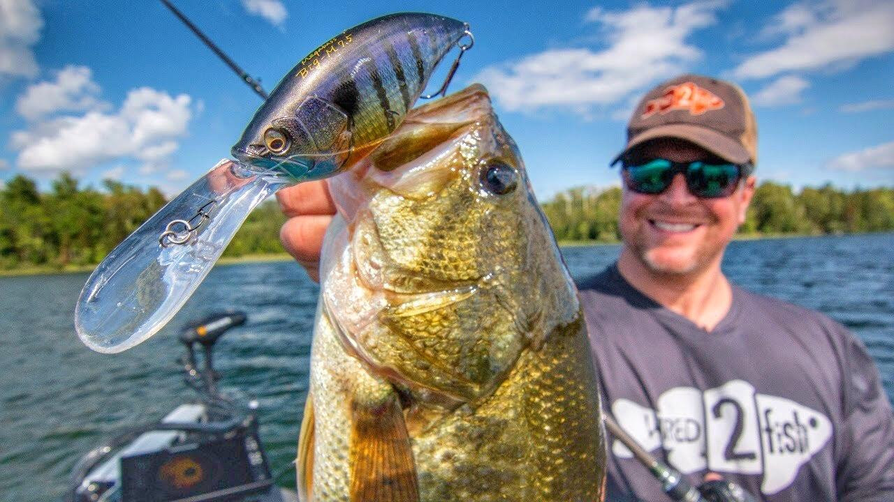 Deep-Diving Crankbaits for Bass: How to Dissect Key Spots - Wired2Fish