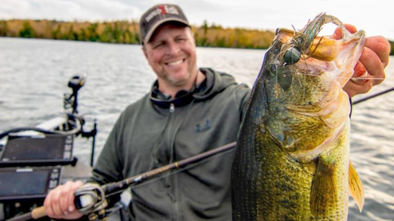 Why You Should Fish Heavy ChatterBaits for Fall Bass
