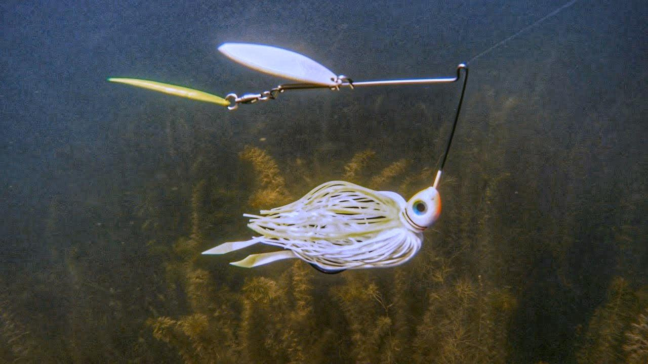 Why You Need Spinnerbaits with Painted Blades - Wired2Fish