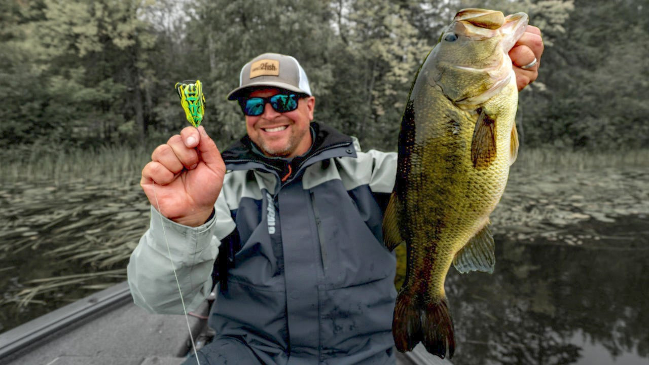 7 Frog Fishing Tips to Catch More Fall Bass in Emergent Grass - Wired2Fish