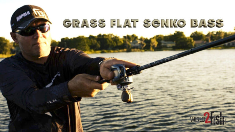 2-Pronged Senko System for Grass Flat Bass