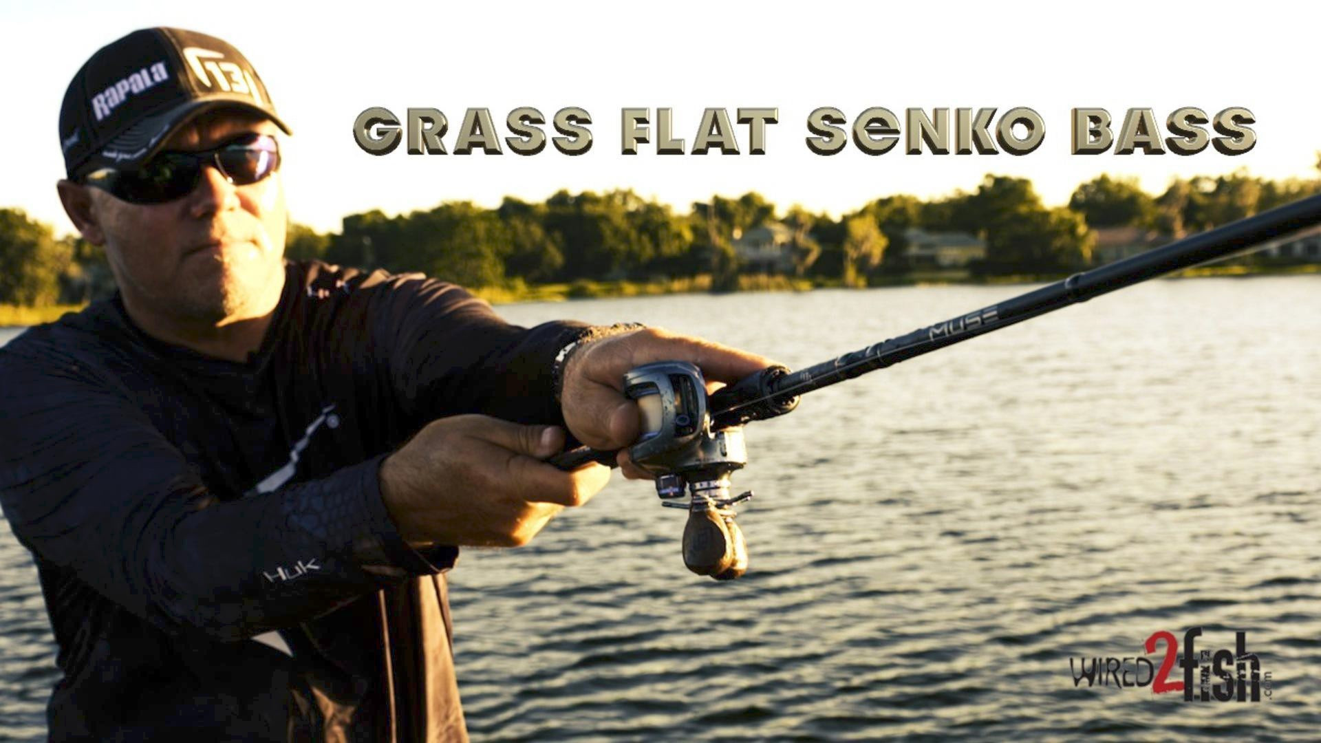 2-Pronged Senko System for Grass Flat Bass - Wired2Fish