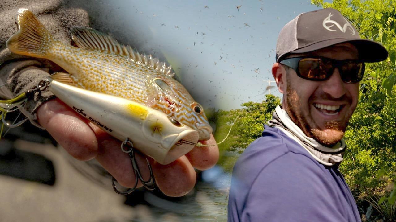 Topwater Bass Fishing Tips for Summer Bug Hatches - Wired2Fish