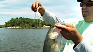 Tips on Fishing Hair Jigs for Bass