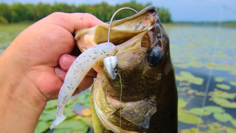 How to Quickly Find Bass on New Water