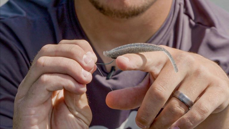 How to Rig a Weedless Drop Shot Without Texas Rigging It
