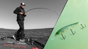 4 Jerkbait Tips for Fall Smallmouth Bass with KVD