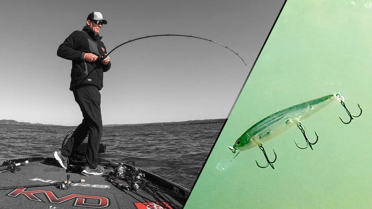4 Jerkbait Tips for Fall Smallmouth Bass with KVD - Wired2Fish