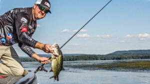 Two Soft Jerkbait Patterns You Should Try Now