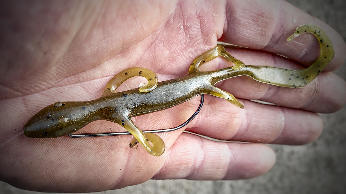 Tough Bite Right Now? Try Rigging a Lizard These 4 Ways. - Wired2Fish