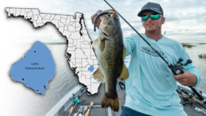 How to Pitch Stickbaits for More Springtime Bass
