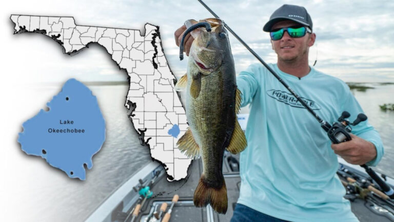 How to Pitch Stickbaits for More Springtime Bass