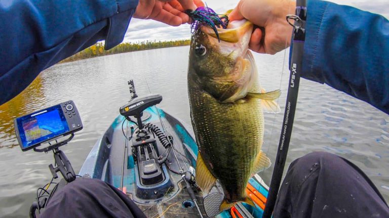 Top Spot to Catch Big Fall Bass on Grass Lakes