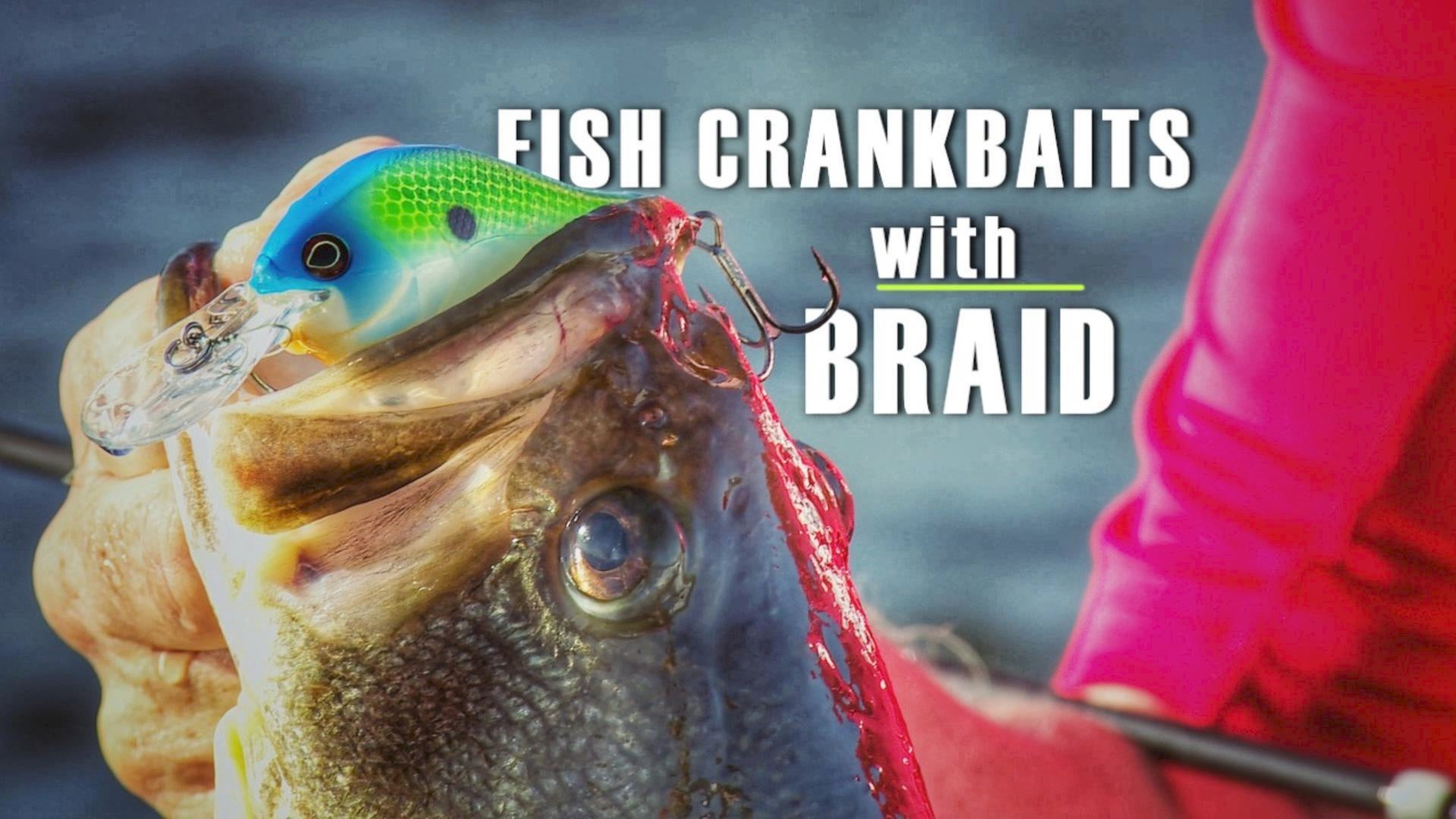 Why You Should Consider Braid for Cranking - Wired2Fish