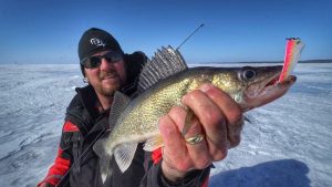 Make Sound to Find and Catch Ice Walleye