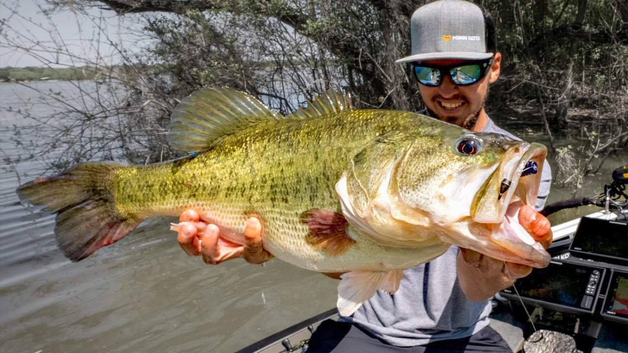 Giant Bass Caught in Texas with Carl Jocumsen (10-pounder‼️)
