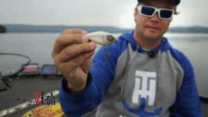 When to Use Silent Lipless Crankbaits [Video]