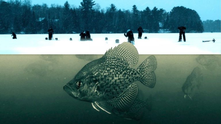 Ice Fishing Panfish – Find Crappies and Bluegills with Ease